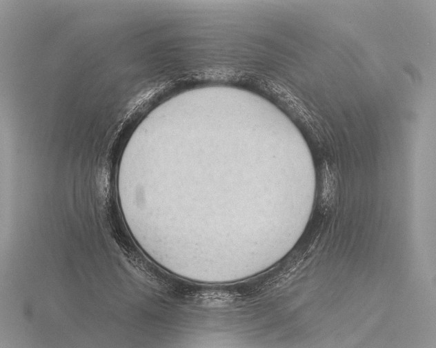 X0000115680636200912101134