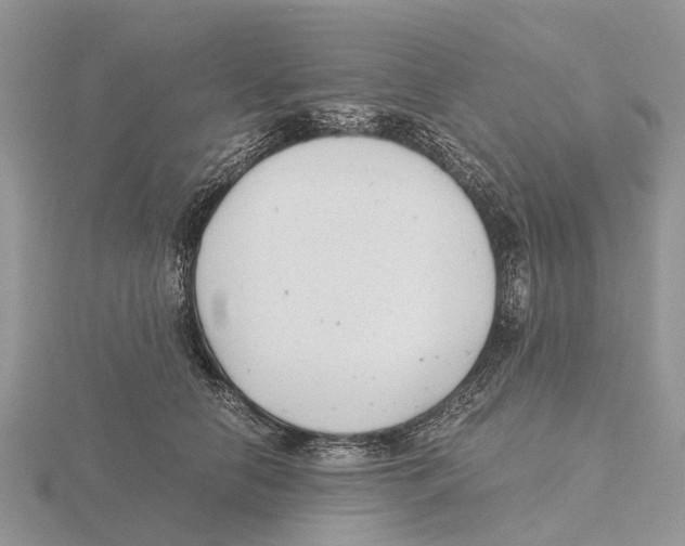X0000115680658200912101134