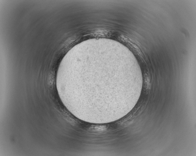X0000115680665200912101134