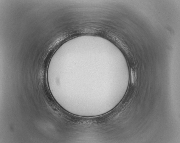 X0000115680675200912101133