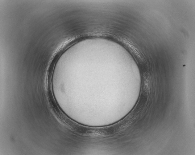 X0000115680678200912101133