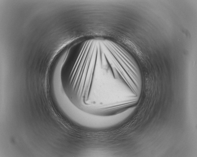 X0000115680680200912101133