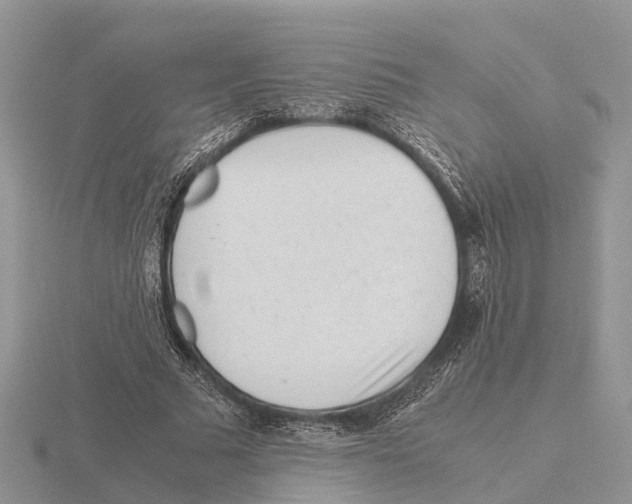 X0000115680681200912101133