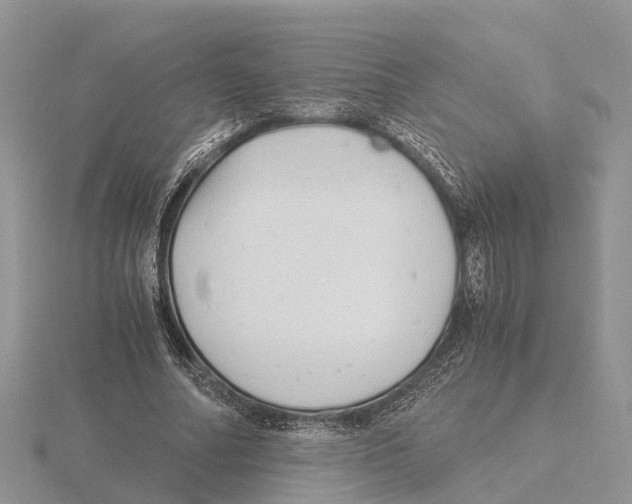 X0000115680682200912101133