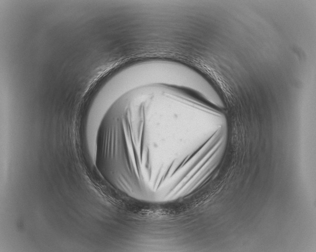 X0000115680688200912101133