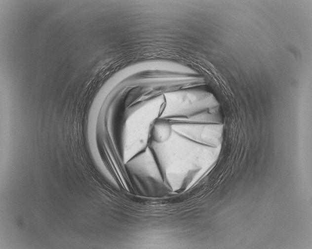 X0000115680701200912101133