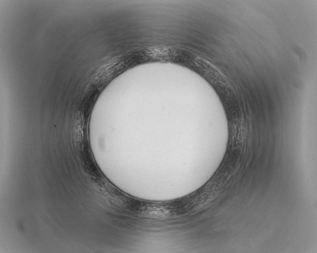 X0000115680702200912101133
