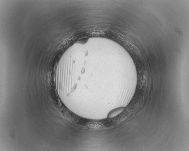 X0000115680704200912101133