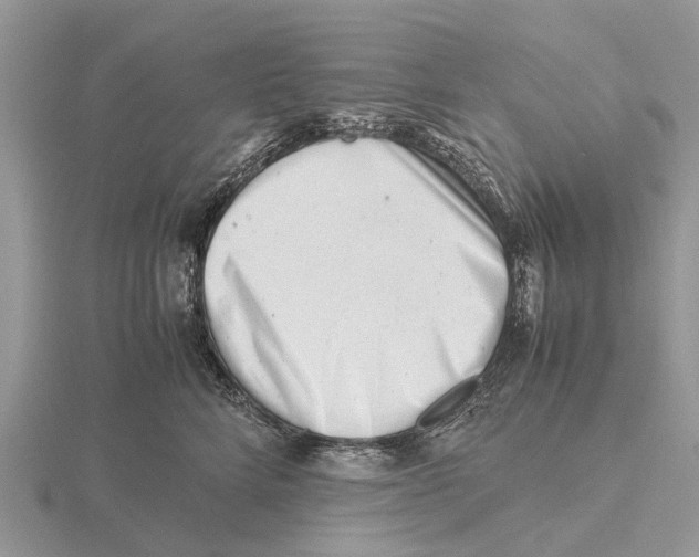 X0000115680712200912101133