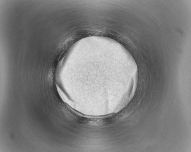 X0000115680720200912101133