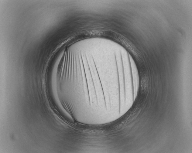 X0000115680722200912101132