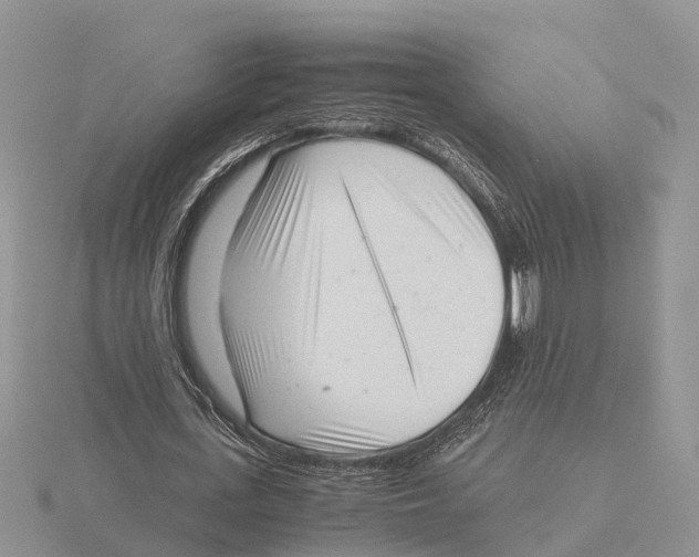 X0000115680723200912101132