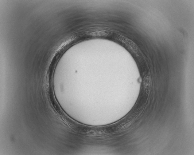 X0000115680727200912101132