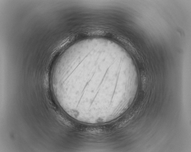 X0000115680729200912101132