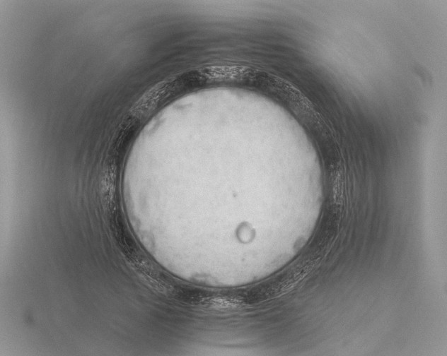 X0000115680737200912101132