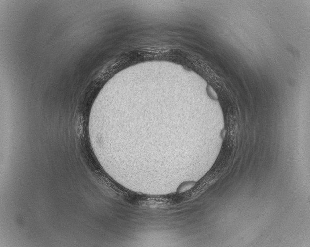 X0000115680758200912101133