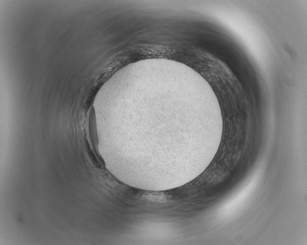X0000115680767200912101133