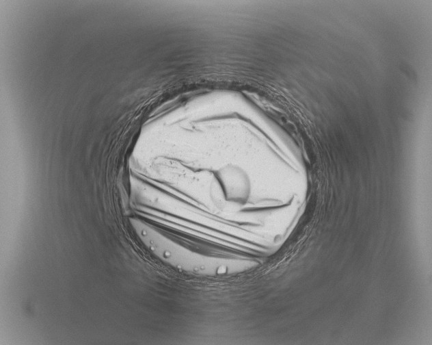 X0000115680769200912101132