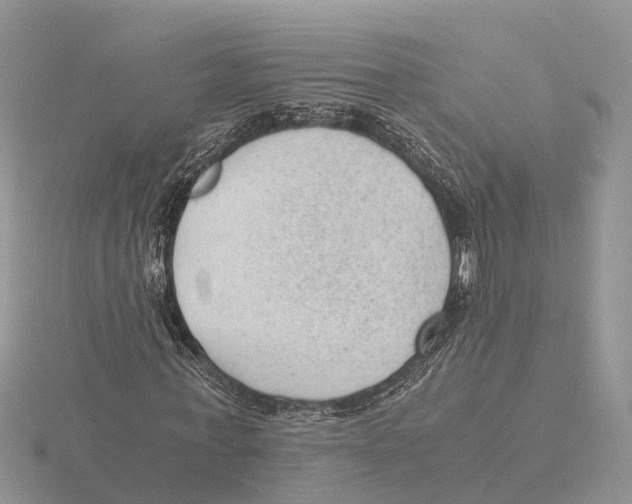 X0000115680771200912101132
