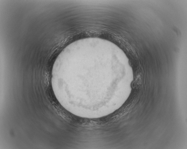 X0000115680772200912101132