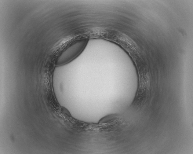 X0000115680773200912101132