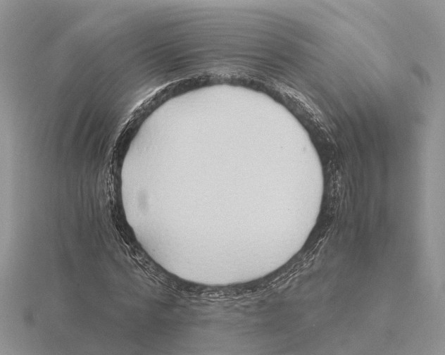 X0000115680776200912101132