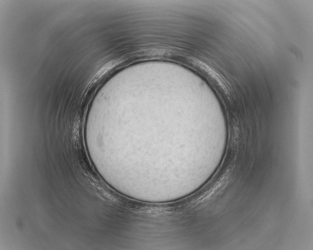 X0000115680778200912101132