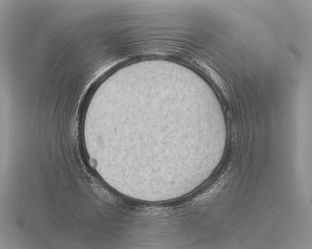 X0000115680779200912101132