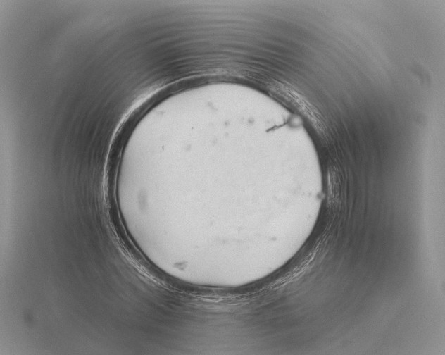 X0000115680780200912101132