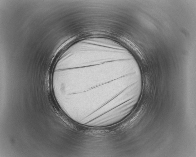 X0000115680782200912101132