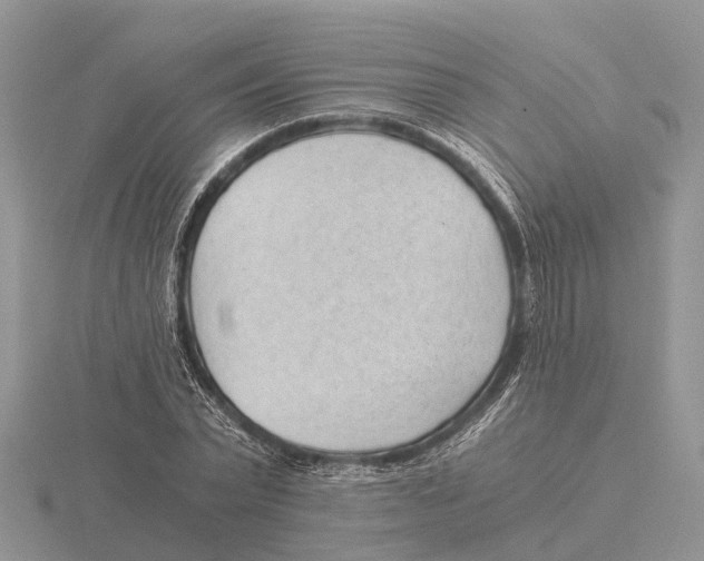 X0000115680783200912101132
