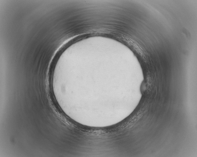 X0000115680784200912101132