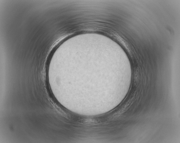 X0000115680787200912101132
