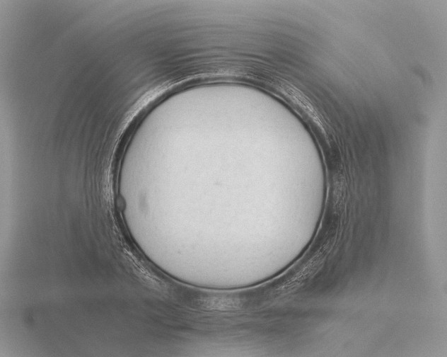 X0000115680789200912101132