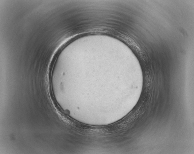 X0000115680792200912101132