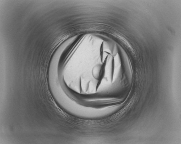X0000115680793200912101132