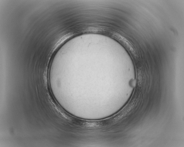 X0000115680794200912101132