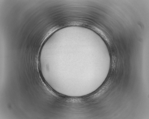X0000115680802200912101132