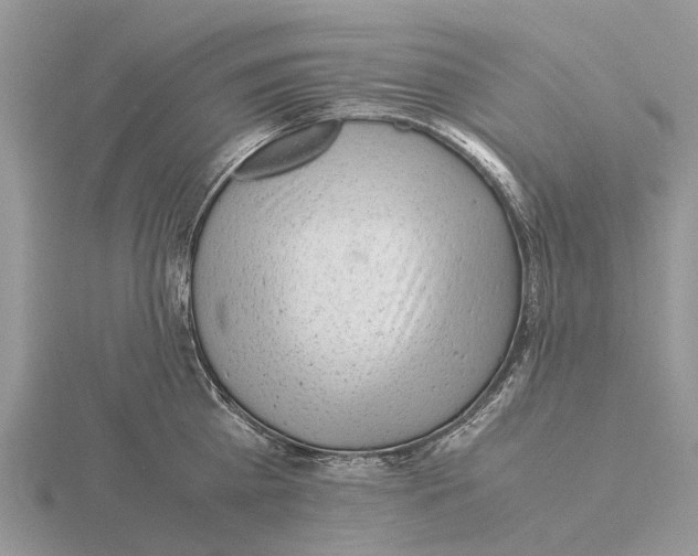 X0000115680809200912101132