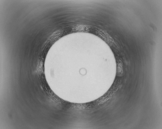 X0000115680820200912101131