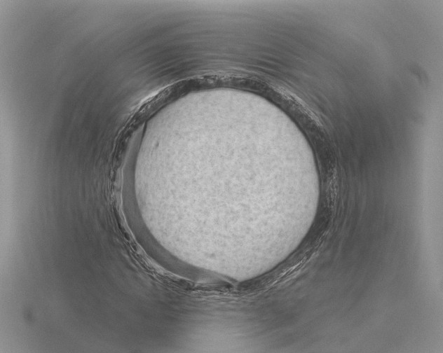 X0000115680822200912101131