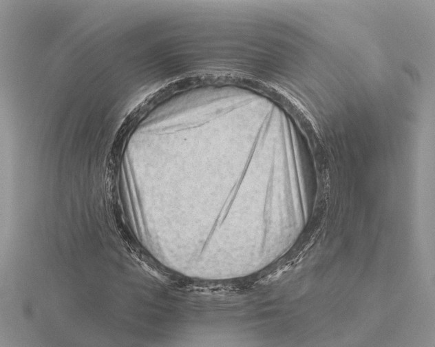 X0000115680823200912101131