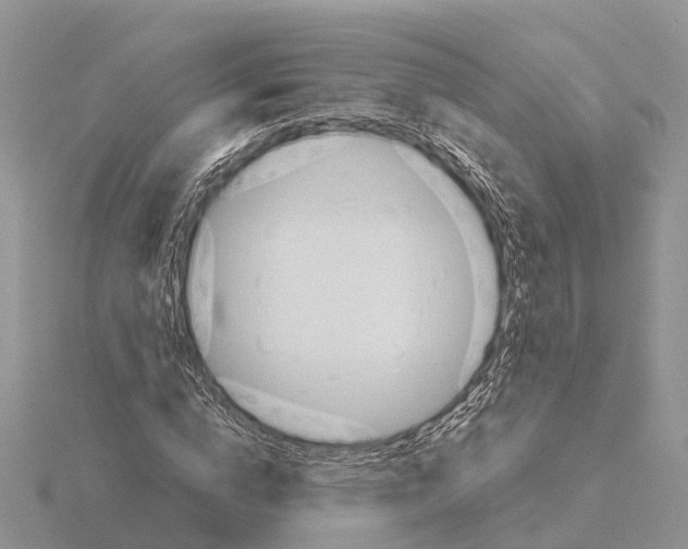 X0000115680824200912101131