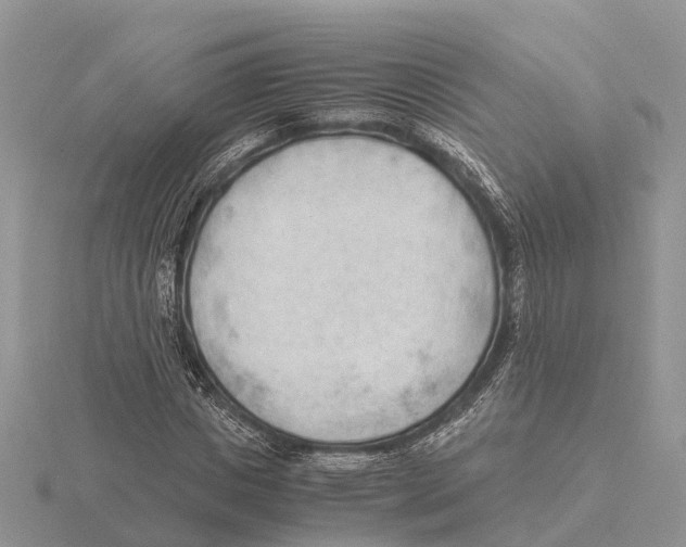 X0000115680825200912101131