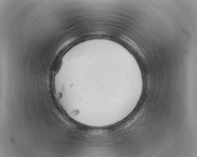 X0000115680826200912101131