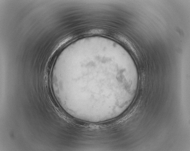 X0000115680827200912101131