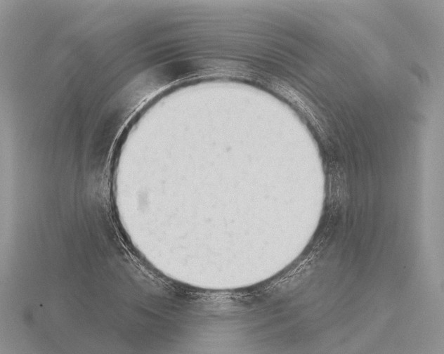 X0000115680828200912101131