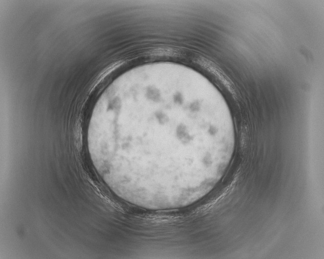 X0000115680829200912101131