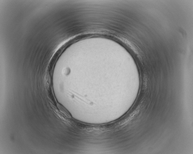 X0000115680830200912101131