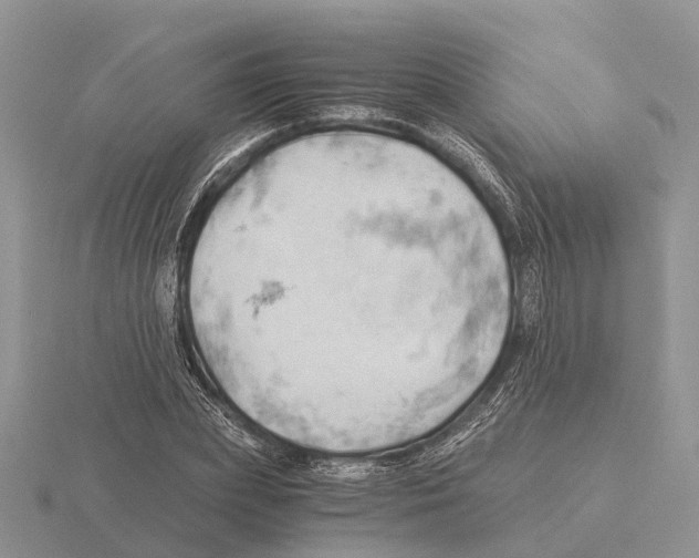 X0000115680831200912101131